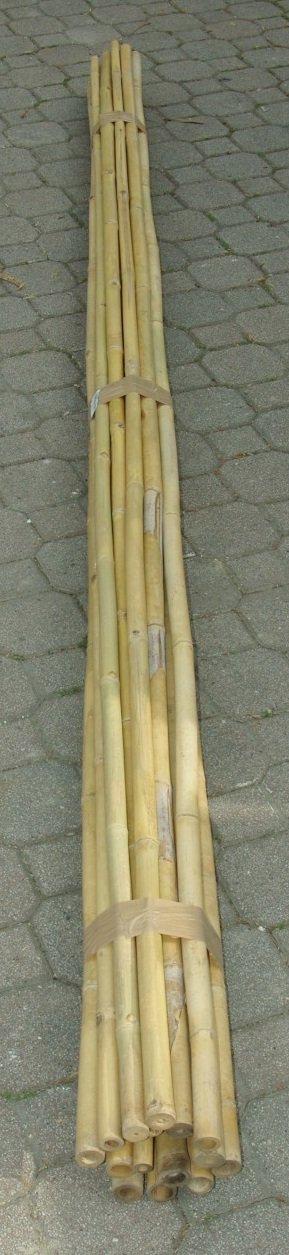 Canne Bamboo Bambù lunghezza cm 300 +Diametri - arredogiardini.it