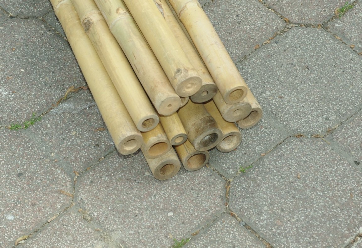 CANNE IN BAMBOO PER SOSTEGNO ORTAGGI E ALTRI USI DA CM 300 DI ALTEZZA (15)  - Zambonin Agricoltura